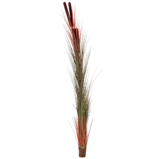 EUROPALMS Reed grass with cattails, light-brown, artificial, 152cm