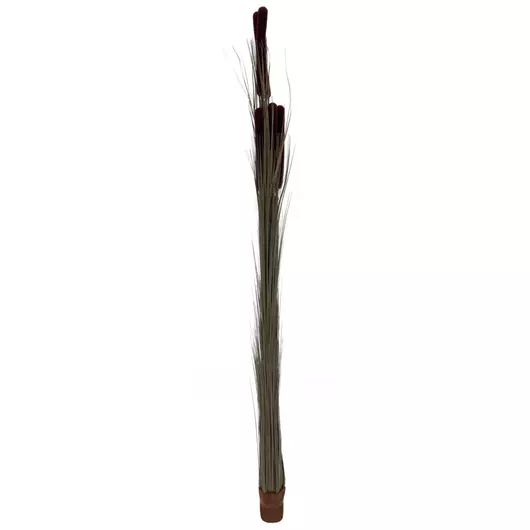 EUROPALMS Reed grass cattails, dark-brown, artificial,  152cm