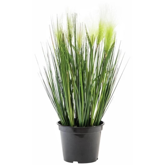 EUROPALMS Feather grass, artificial, white, 60cm