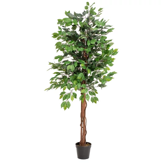 EUROPALMS Ficus Tree Multi Trunk, artificial plant, 150cm