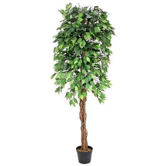 EUROPALMS Ficus Tree Multi-Trunk, artificial plant, 180cm