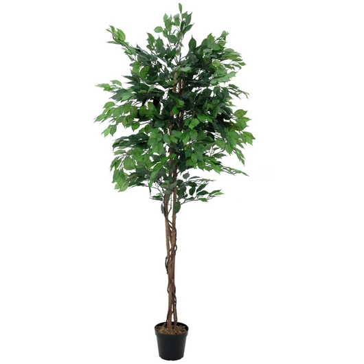 EUROPALMS Ficus Tree Multi-Trunk, artificial plant, 210cm