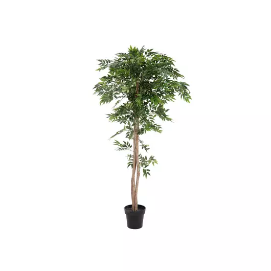 EUROPALMS Ficus longifolia, artificial plant, 165cm