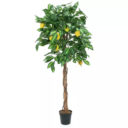 EUROPALMS Lemon tree, artificial plant, 150cm