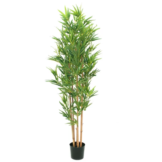 EUROPALMS Bamboo deluxe, artificial plant, 150cm