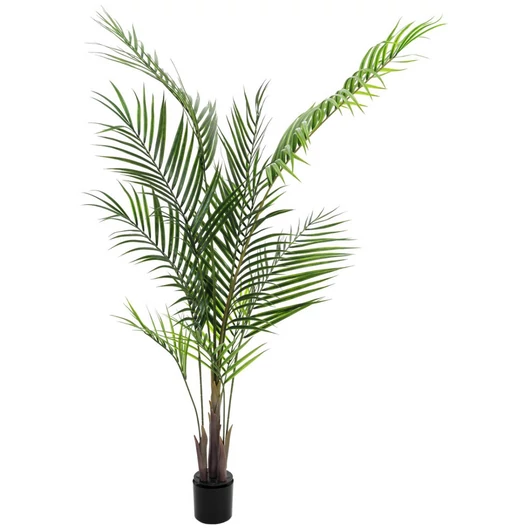 EUROPALMS Areca palm with big leaves, artificial plant, 165cm