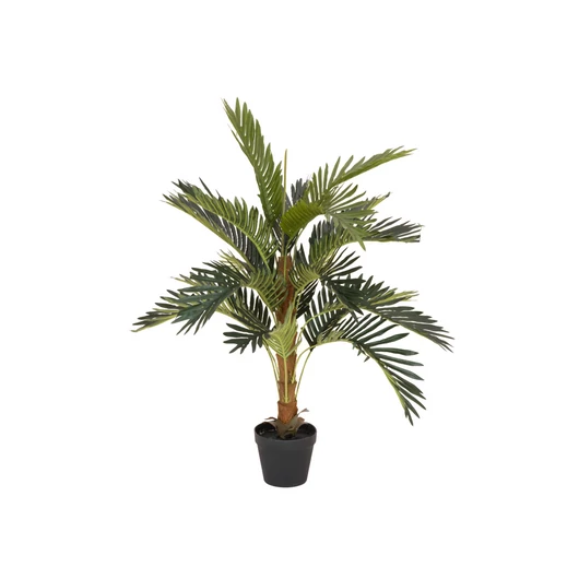 EUROPALMS Coconut palm, artificial plant, 90cm