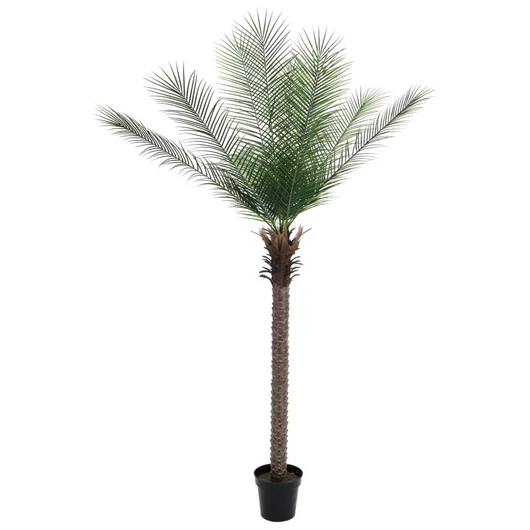 EUROPALMS Phoenix  palm deluxe, artificial plant, 220cm