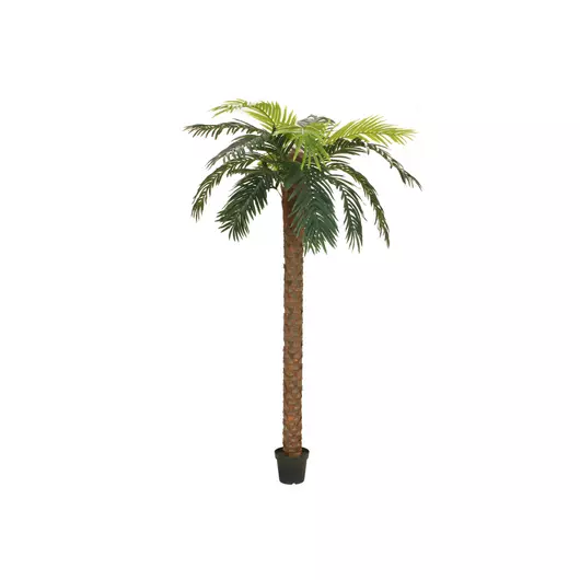 EUROPALMS Phoenix palm deluxe, artificial plant, 250cm