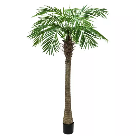 EUROPALMS Phoenix palm tree luxor, artificial plant, 150cm