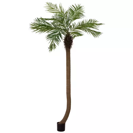 EUROPALMS Phoenix palm tree luxor curved, artificial plant, 240cm