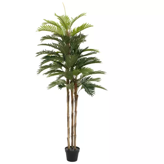 EUROPALMS Kentia palm tree, artificial plant, 150cm