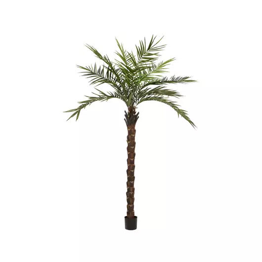 EUROPALMS Kentia  palm tree deluxe, artificial plant, 300cm