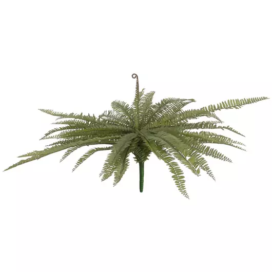 EUROPALMS Boston fern, artificial plant, green, 70cm