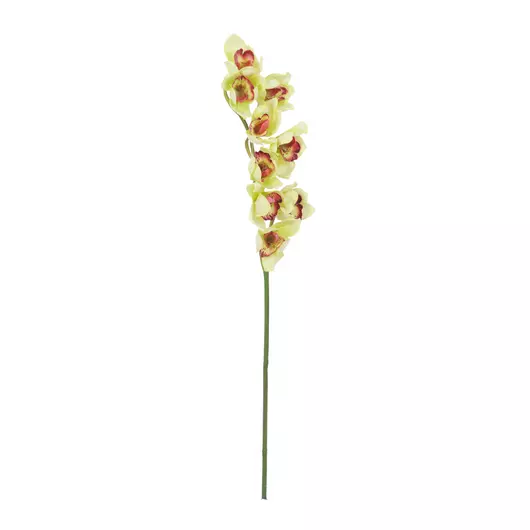 EUROPALMS Cymbidium branch, artificial, green, 90cm