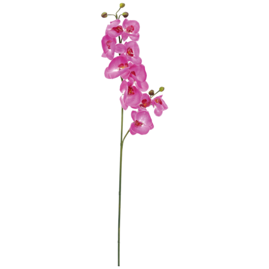 EUROPALMS Orchid branch, artificial, purple, 100cm