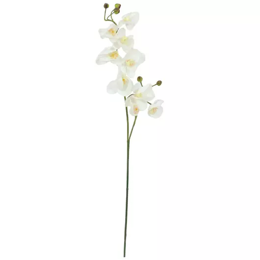 EUROPALMS Orchid branch, artificial, cream-white, 100cm