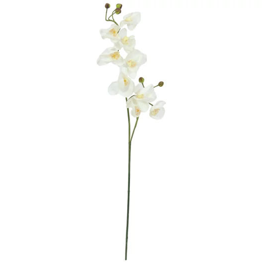 EUROPALMS Orchid branch, artificial, cream-white, 100cm