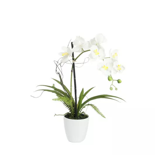 EUROPALMS Orchid arrangement 1, artificial