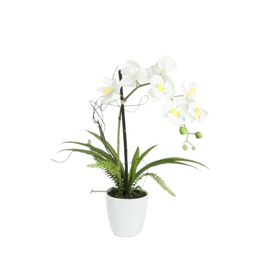 EUROPALMS Orchid arrangement 1, artificial