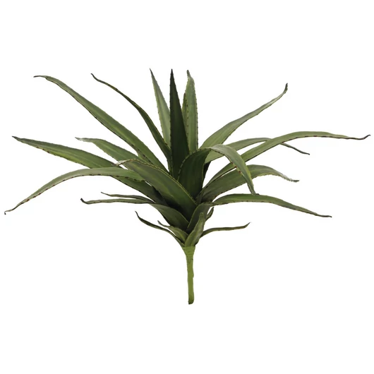 EUROPALMS Aloe (EVA), artificial, green, 50cm