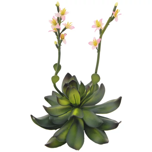 EUROPALMS Houseleeks (EVA), artificial, pink, 32cm