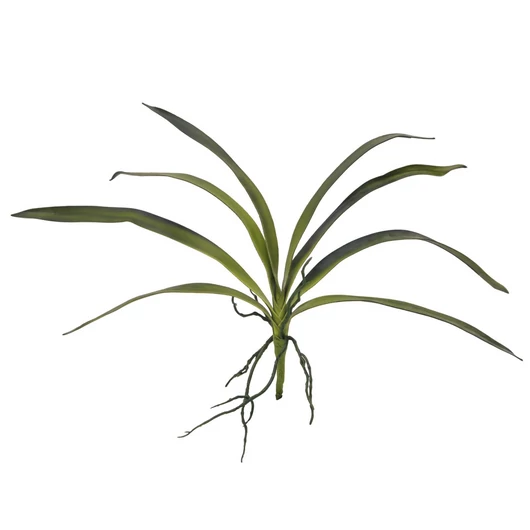 EUROPALMS Orchid leaf (EVA), arificial, green, 45cm