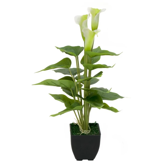 EUROPALMS Mini Calla, artificial plant, white, 43cm