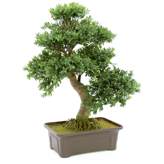 EUROPALMS Bonsai, artificial plant, 61 cm