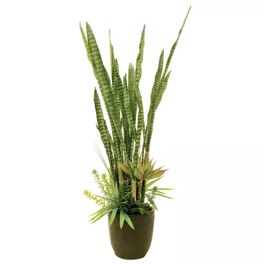 EUROPALMS Succulent-Mix, artificial plant, 190cm