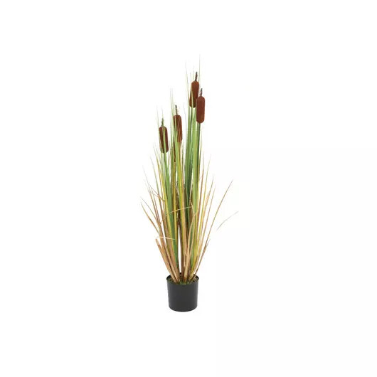 EUROPALMS Bulrush, alrtificial plant, 150cm