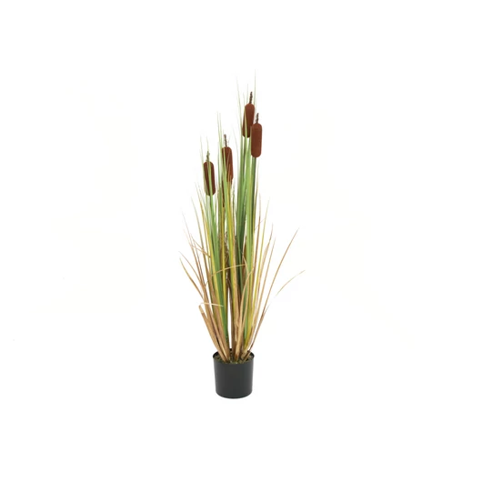 EUROPALMS Bulrush, alrtificial plant, 150cm