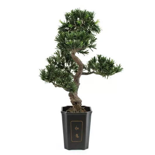 EUROPALMS Bonsai podocarpus, artificial plant, 80cm