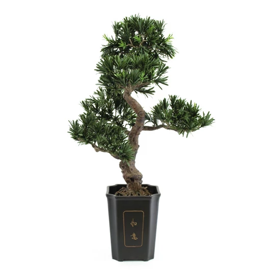 EUROPALMS Bonsai podocarpus, artificial plant, 80cm