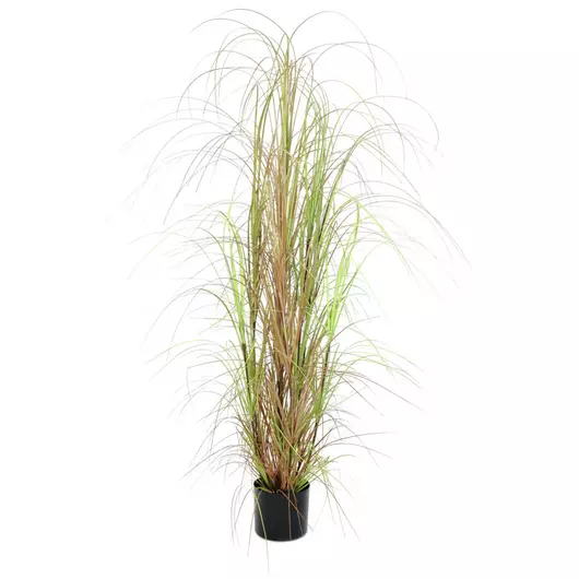 EUROPALMS Grass bush, artificial, 150cm