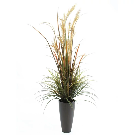 EUROPALMS River grass September, artificial, 175cm