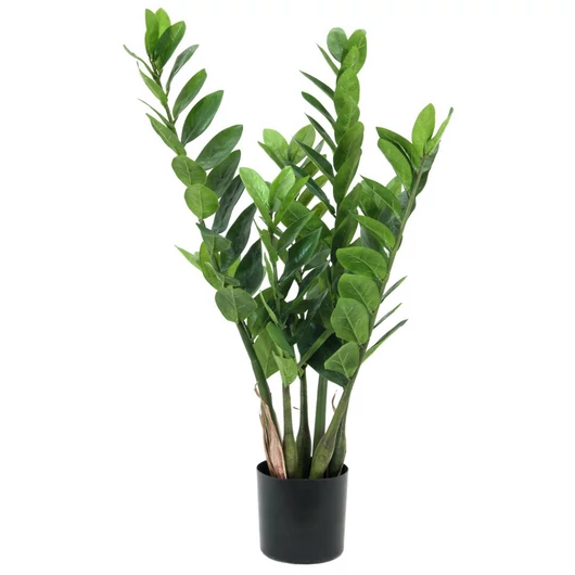 EUROPALMS Zamifolia, artificial plant, 70cm