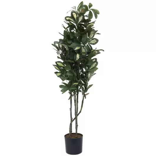 EUROPALMS Schefflera, artificial, 90cm