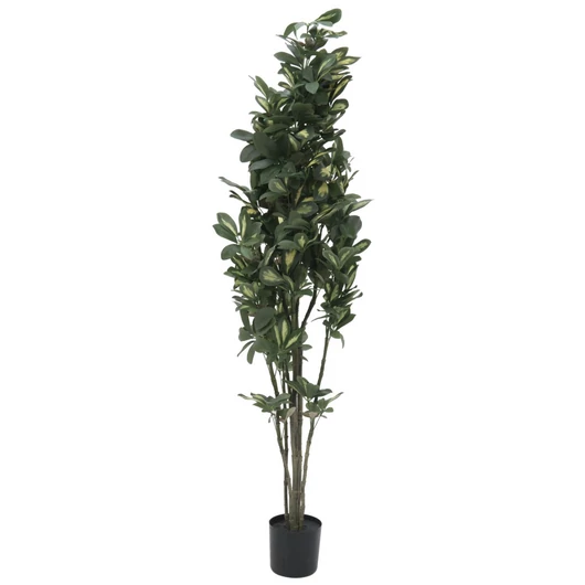 EUROPALMS Schefflera, artificial,120cm