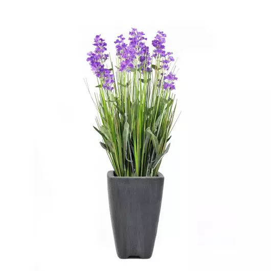 EUROPALMS Lavender, artificial plant, purple, in pot, 45cm