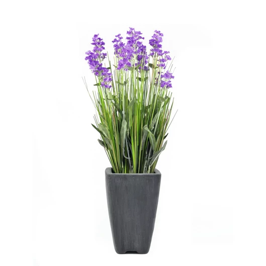 EUROPALMS Lavender, artificial plant, purple, in pot, 45cm