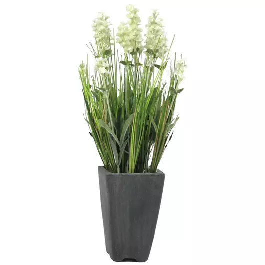 EUROPALMS Lavender, artificial plant, cream, in pot, 45cm