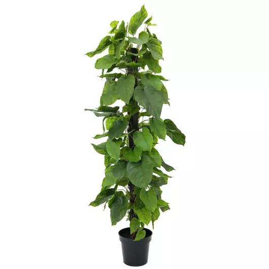 EUROPALMS Pothos plant, artificial, 180cm