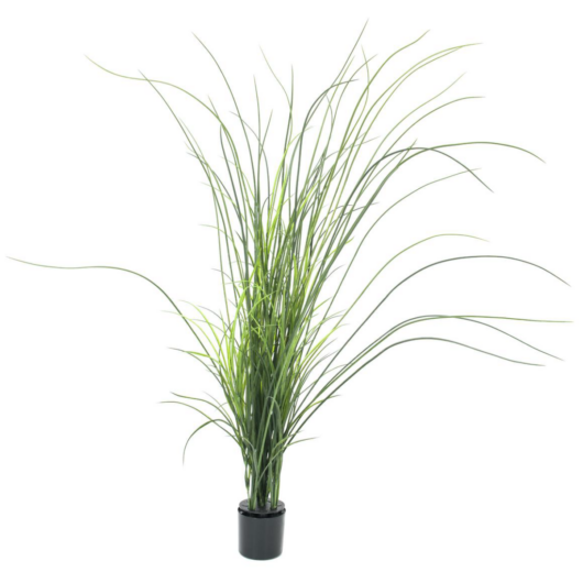 EUROPALMS Reed (grass),  artificial, 145cm