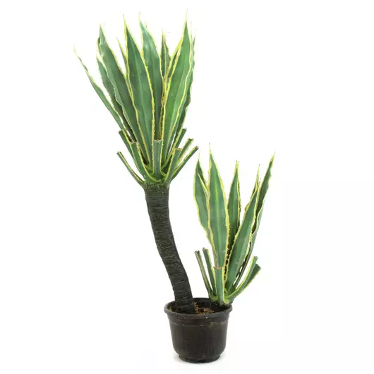 EUROPALMS Orchid-Cactus, artificial plant, 160cm