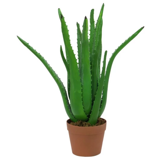 EUROPALMS Aloe Vera Plant, artificial plant, 63cm