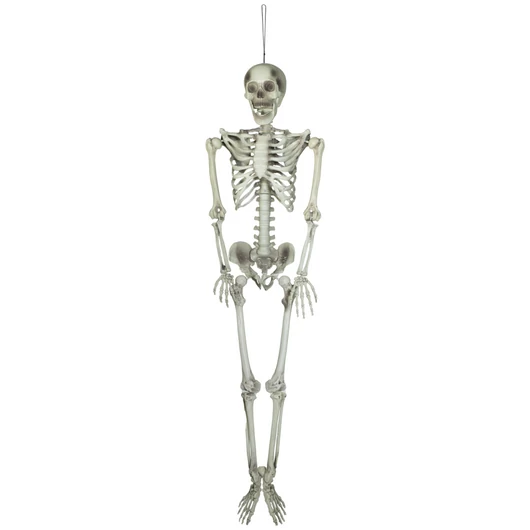 EUROPALMS Halloween Skeleton, 150 cm