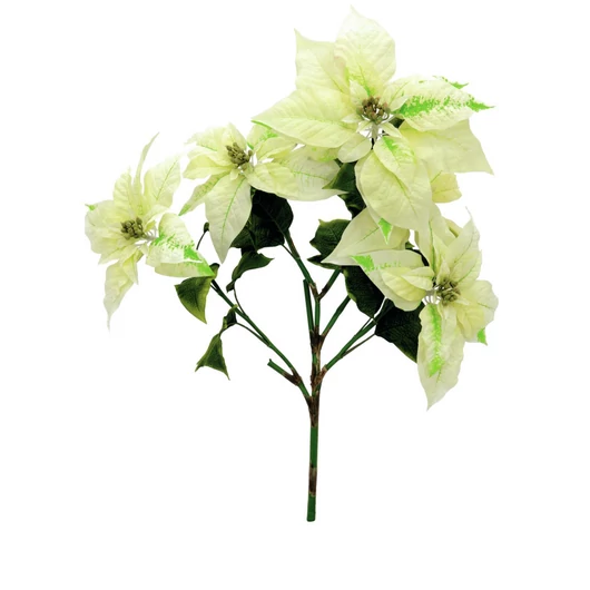 EUROPALMS Poinsettia bush, cream, 60cm