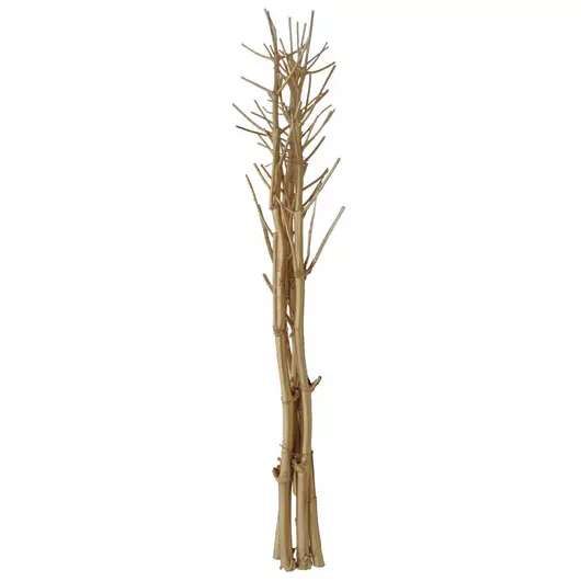 EUROPALMS Fennel bunch, dried, gold, 160cm