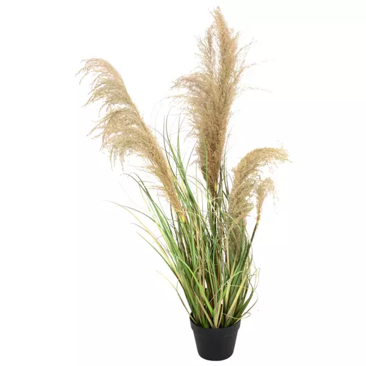 EUROPALMS Chinese silvergrass, artificial, 110cm